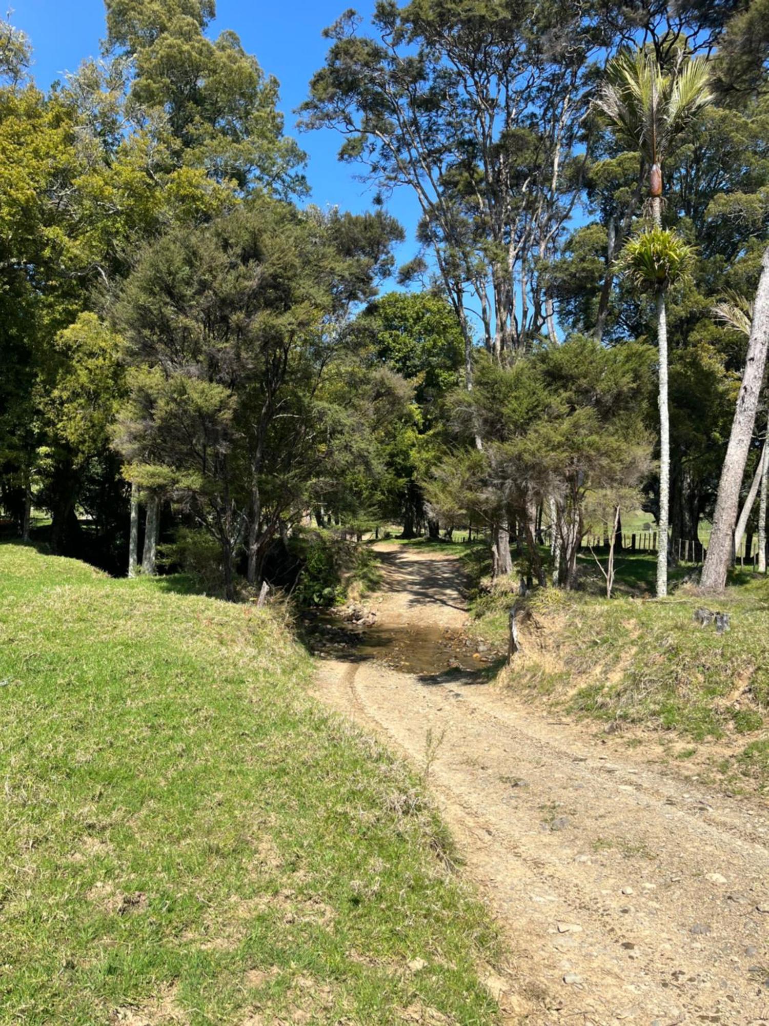 White Star Station Farm Holiday Park Coromandel エクステリア 写真