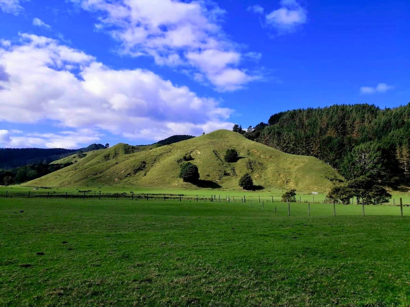 White Star Station Farm Holiday Park Coromandel エクステリア 写真